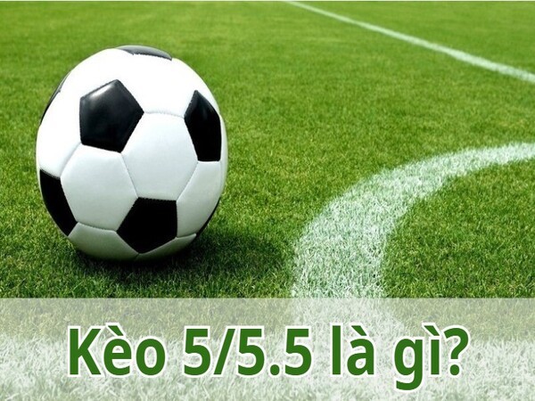 Kèo 5/5.5 là gì? Có tồn tại loại kèo này không?