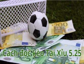 Cách đọc kèo Tài Xỉu 5.25 chuẩn xác có ví dụ minh họa