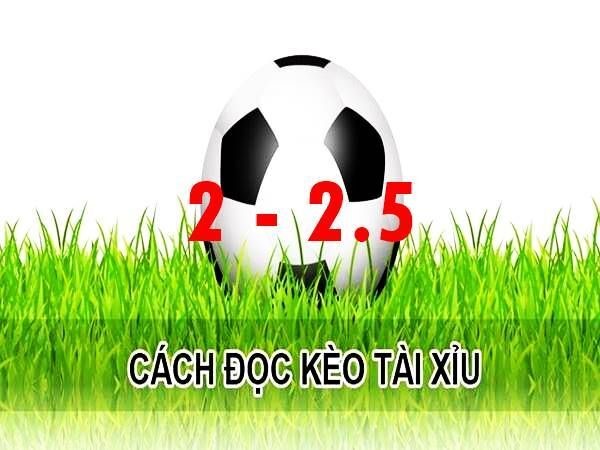 Gợi ý cách đọc kèo chấp 2 - 2.5