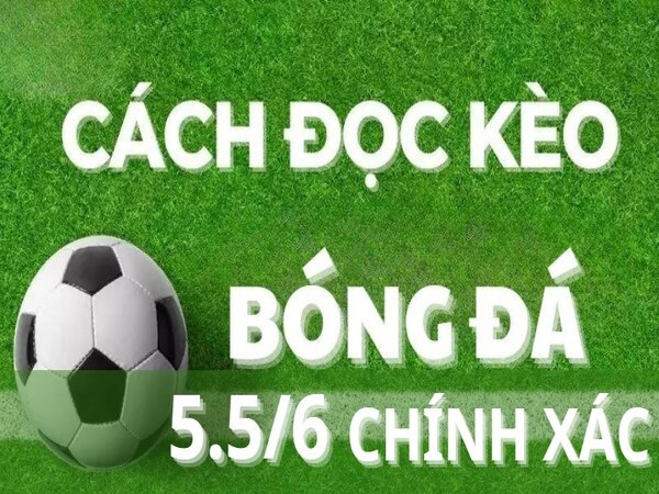 Hướng dẫn cách đọc kèo 5.5/6 đơn giản và chính xác