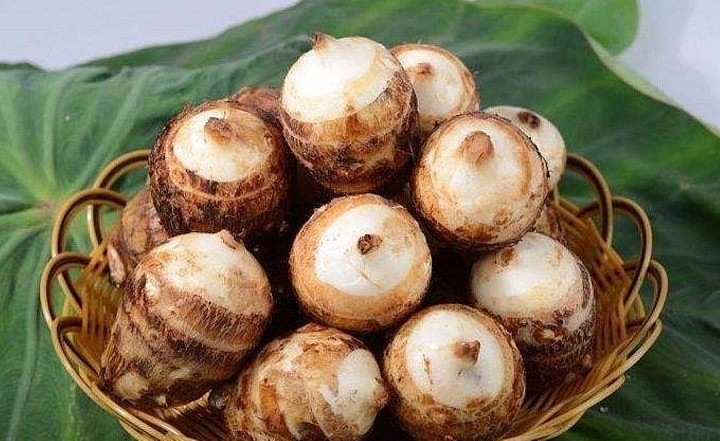 Yếu tố ảnh hưởng đến hàm lượng Calo trong Khoai Sọ
