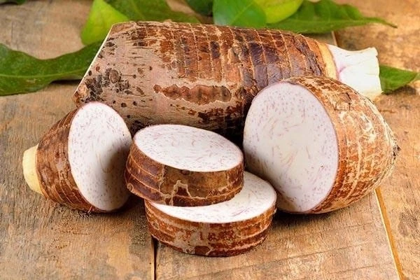 Phân tích hàm lượng Calo trong Khoai Sọ theo phương pháp chế biến