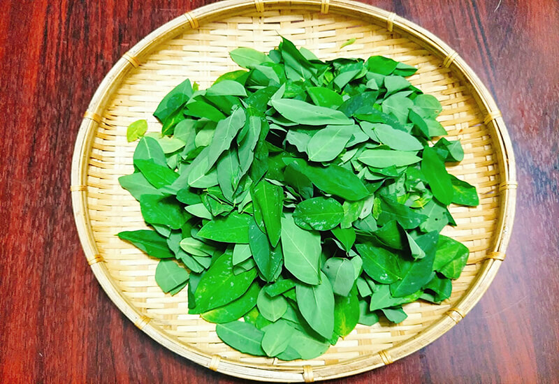 Rau Ngót: Thành phần dinh dưỡng và lượng calo