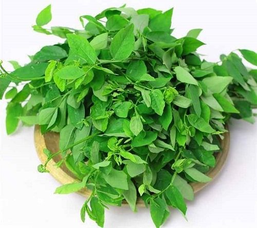 Ảnh hưởng của cách chế biến đến lượng calo trong món ăn từ rau ngót