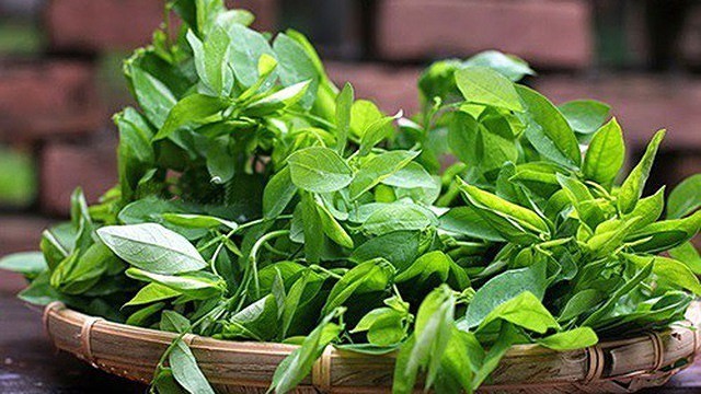 Lượng calo trong rau ngót: Hướng dẫn tính toán và theo dõi