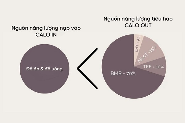 Một lượng thâm hụt calo hợp lý thường dao động từ 500-750 calo mỗi ngày