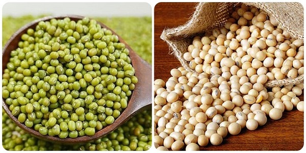 Hàm lượng calo trong đậu nành cao hơn đôi chút so với đậu xanh