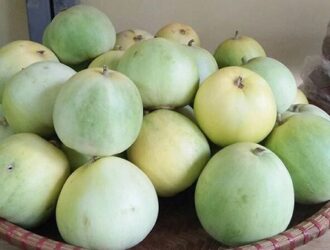 Dưa lê: nguồn cung cấp vitamin và khoáng chất