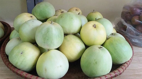 Dưa lê: nguồn cung cấp vitamin và khoáng chất