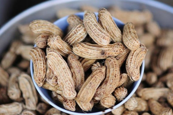 Lạc luộc là nguồn cung cấp calo