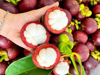 Kích thước và trọng lượng của quả măng cụt ảnh hưởng đến hàm lượng calo
