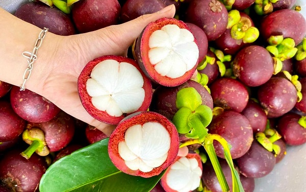 Kích thước và trọng lượng của quả măng cụt ảnh hưởng đến hàm lượng calo