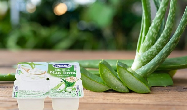 Sữa chua giúp cải thiện hệ tiêu hóa