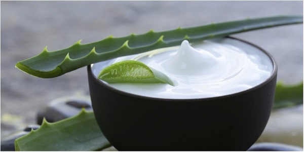 Kết hợp sữa chua nha đam với chế độ ăn uống và tập luyện.
