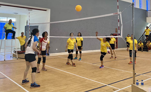 Kỹ thuật chơi bóng chuyền hơi