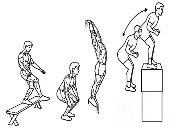 Bài tập Plyometrics chuyên sâu