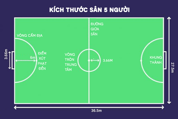 Kích thước sân chuẩn cho bóng đá sân 5