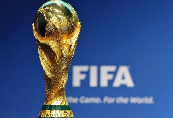 Thành tích đồng đội World Cup (FIFA World Cup)